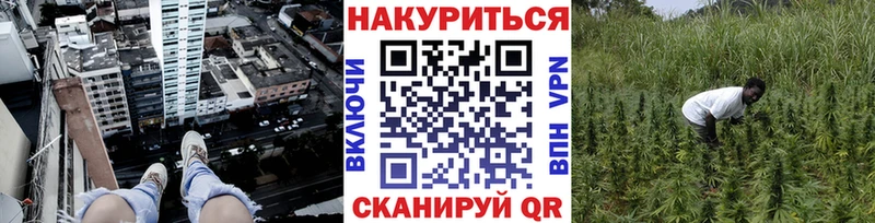 МАРИХУАНА план  дарнет шоп  Котельниково 